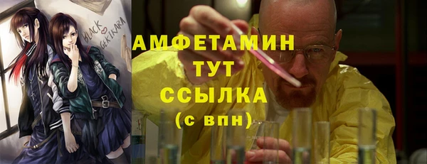 амф Ельня