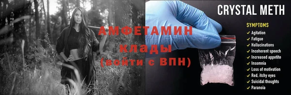 амф Ельня