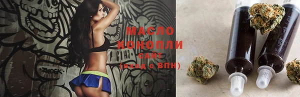 амф Ельня