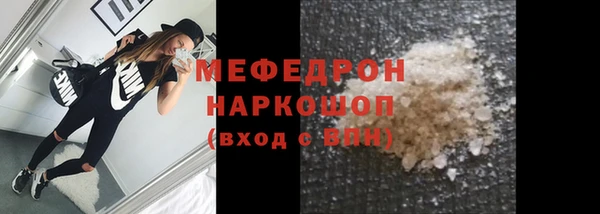амф Ельня