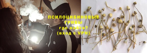 МДМА Елизово