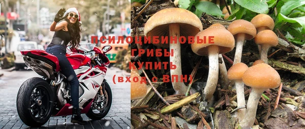 МДМА Елизово