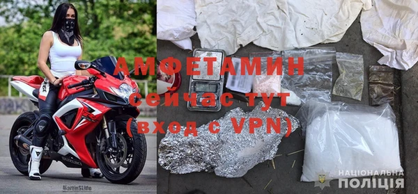 амф Ельня