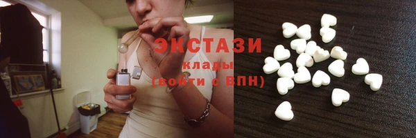 амф Ельня