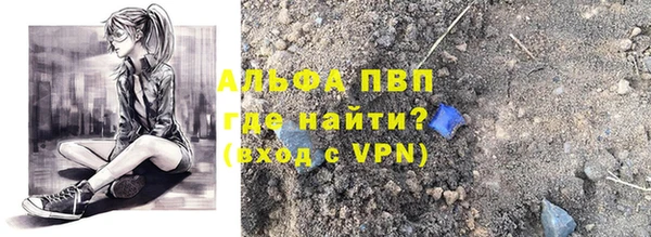 амф Ельня