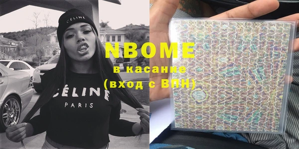 амф Ельня
