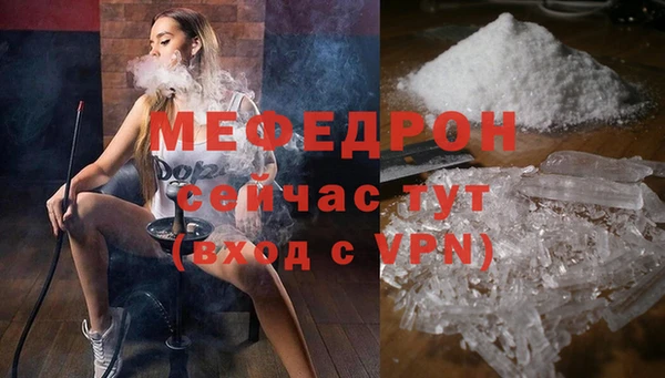 амф Ельня