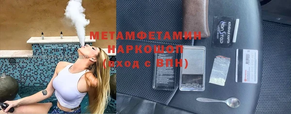 амф Ельня