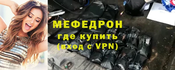 амф Ельня