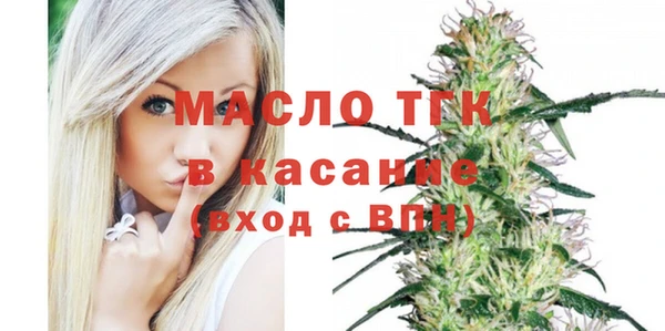амф Ельня