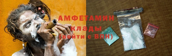 амф Ельня