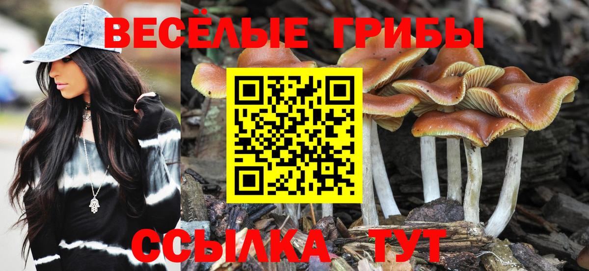 Галлюциногенные грибы прущие грибы  Архангельск 