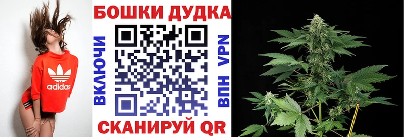 хочу наркоту  blacksprut ТОР  Бошки Шишки семена  Архангельск 
